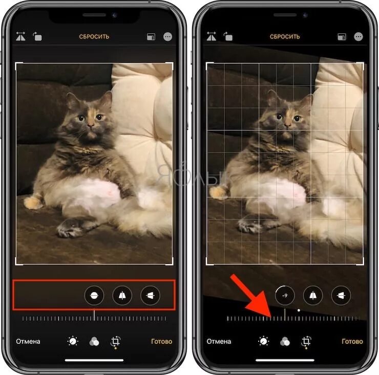 Повернуть фото самсунг Как повернуть фото на Айфоне или Айпаде