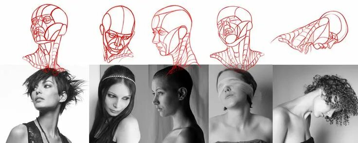 Повернутое лицо фото Summer of Saigon: Heads constructing Portrait drawing, Silhouette drawing, Human