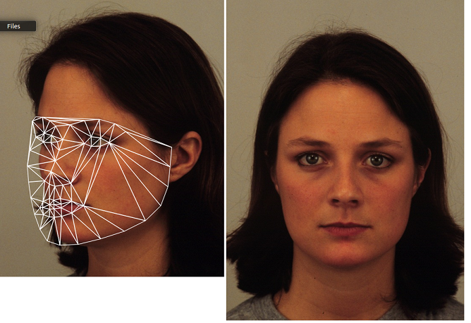 Повернутое лицо фото rotation - rotate face from non-front to front opencv - Stack Overflow