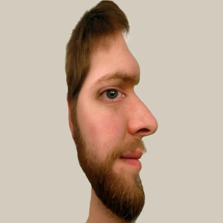 Повернутое лицо фото Optical Illusion Face illusions, Optical illusions faces, Illusion drawings