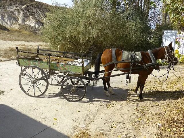 Повозка с лошадью фото Free Image on Pixabay - Coach, Horse Drawn Carriage, Horse Horses, Horse drawn w