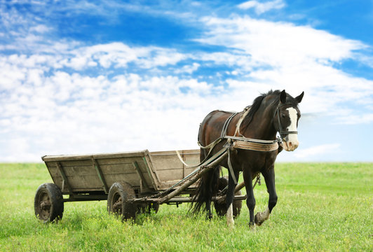 Повозка с лошадью фото Horse Cart Изображения: просматривайте стоковые фотографии, векторные изображени