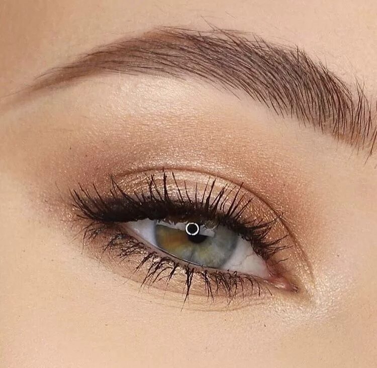 Повседневный макияж глаз фото Pin on Beauty Inspiration Simple eyeshadow, Eyeshadow makeup, Eye makeup