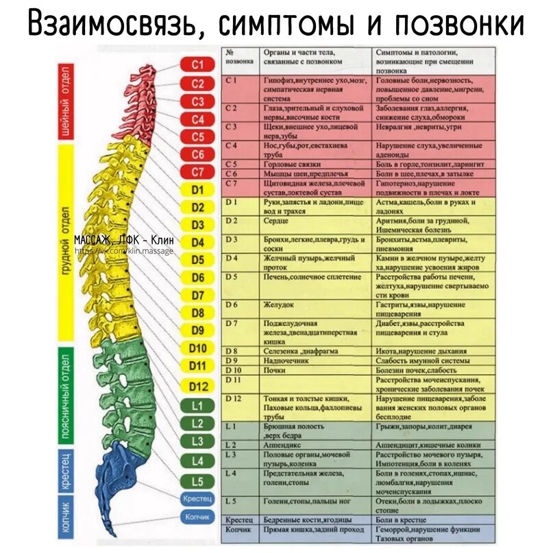 Пояснично грудной отдел позвоночника фото Взаимосвязь симптомы и позвонки Шейные позвонки Позвонок С1. Во первых, компресс