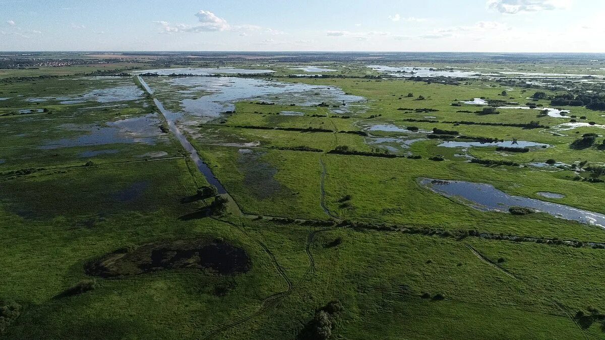 Пойма реки фото Файл:Виноградовская пойма летом.jpg - Википедия