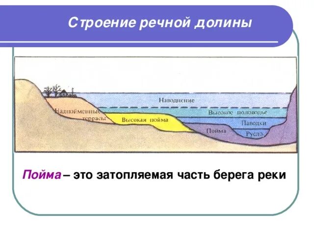 Пойма реки фото Презентация к уроку географии на тему "Реки России"