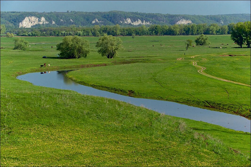 Пойма реки фото Фото Долина - фотограф Александр Гризик - пейзаж, путешествия - ФотоФорум.ру