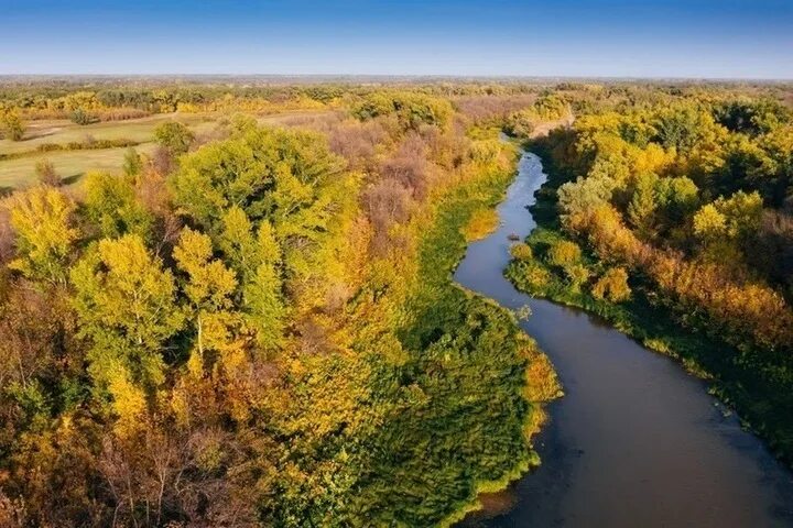 Пойма реки фото Турпроекты Волгоградской области вошли в число лучших в России - МК Волгоград