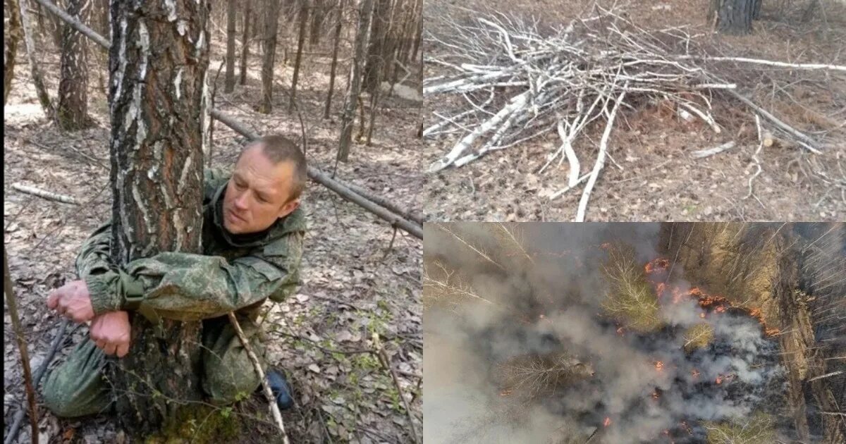 Поймали в лесу фото На фоне бушующих пожаров тюменцы находят в лесах шалаши из веток и ловят подозри