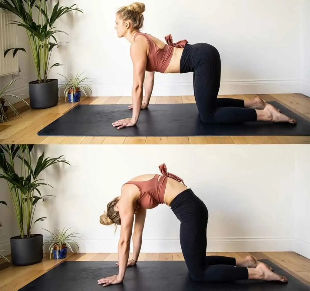 Поза кошки фото 10 Yoga Poses to Help Relieve Shoulder and Neck Pain, yoga matts for women