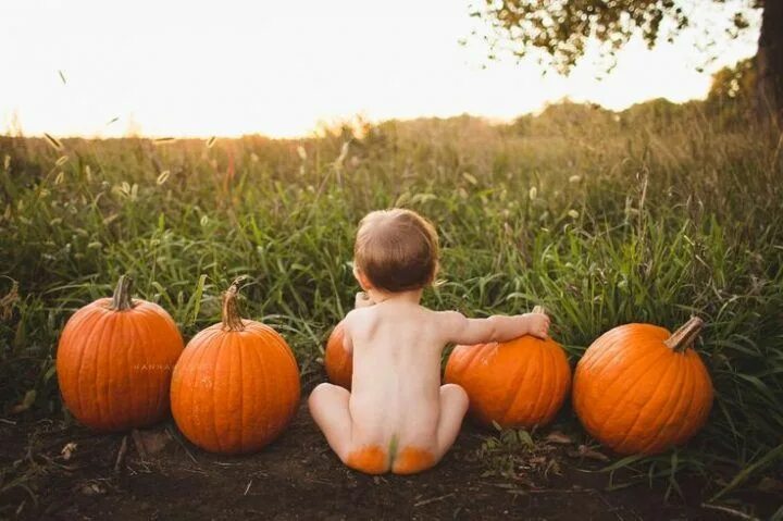 Поза пикантная тыква фото Fall pictures. Pumpkin bu Bebeluși