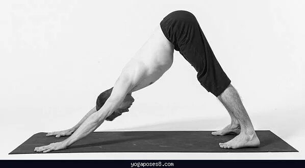 Поза собаки в йоге фото Pin en Yogaposes8