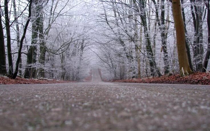 Поздняя осень фото на рабочий стол Похожее изображение Forest road, Winter forest, Travel images