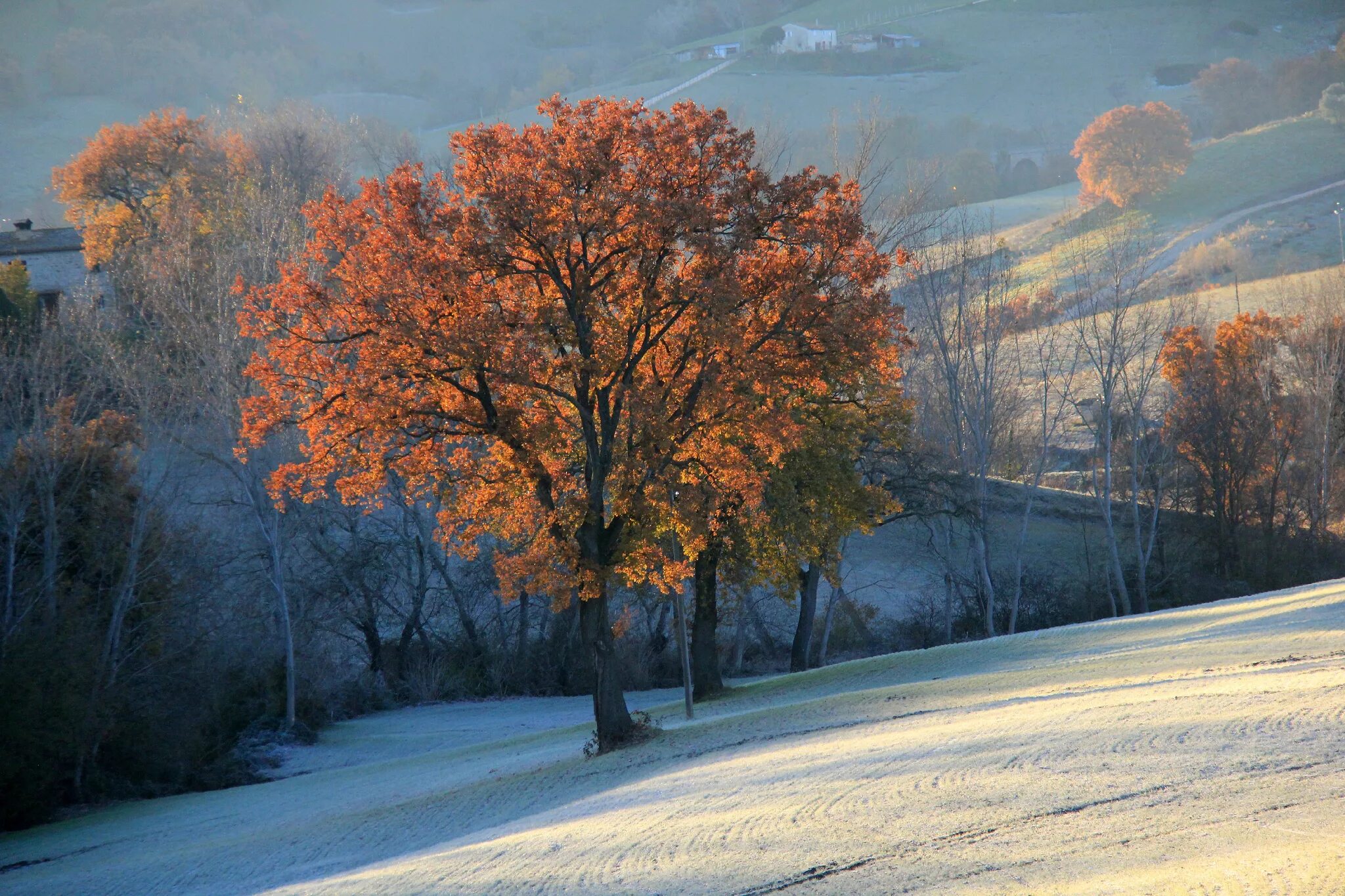 Поздняя осень фото на рабочий стол Download wallpaper autumn, snow, trees, mountains, hills, field, haze, section n