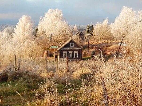 Поздняя осень в деревне фото Silence. Rest. Autumn yin 2022 Зима VK