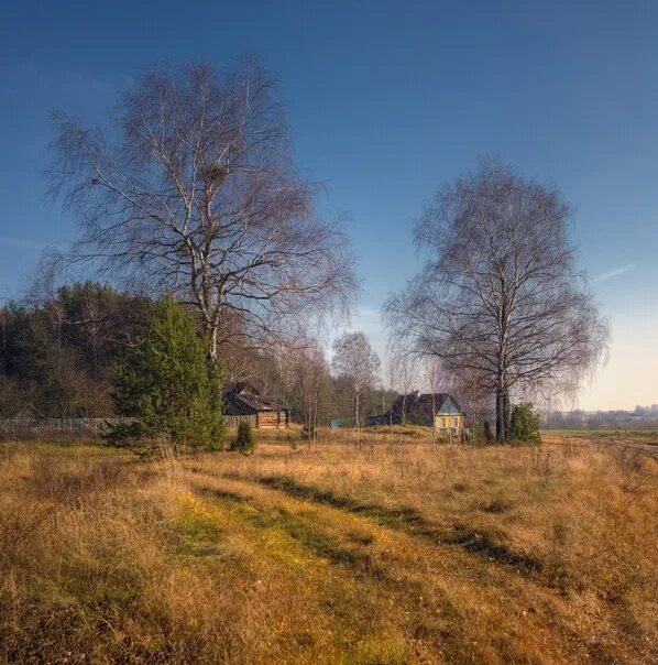 Поздняя осень в деревне фото It’s autumn in the village." Photo by Vlad Sokolovsky 2022 Ехала деревня VK