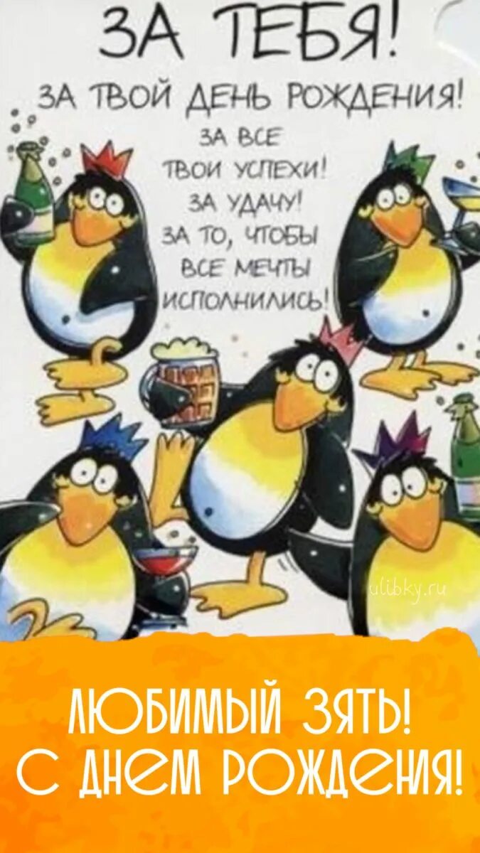 Поздравить друга с днем рождения прикольные картинки C днем рождения, зять - новые красивые открытки (86 ФОТО) С днем рождения, День 