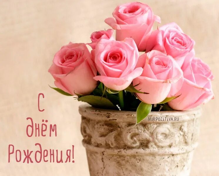 Поздравить с днем рождения девушку фото Похожее изображение Flower pots, Pink roses, Rose