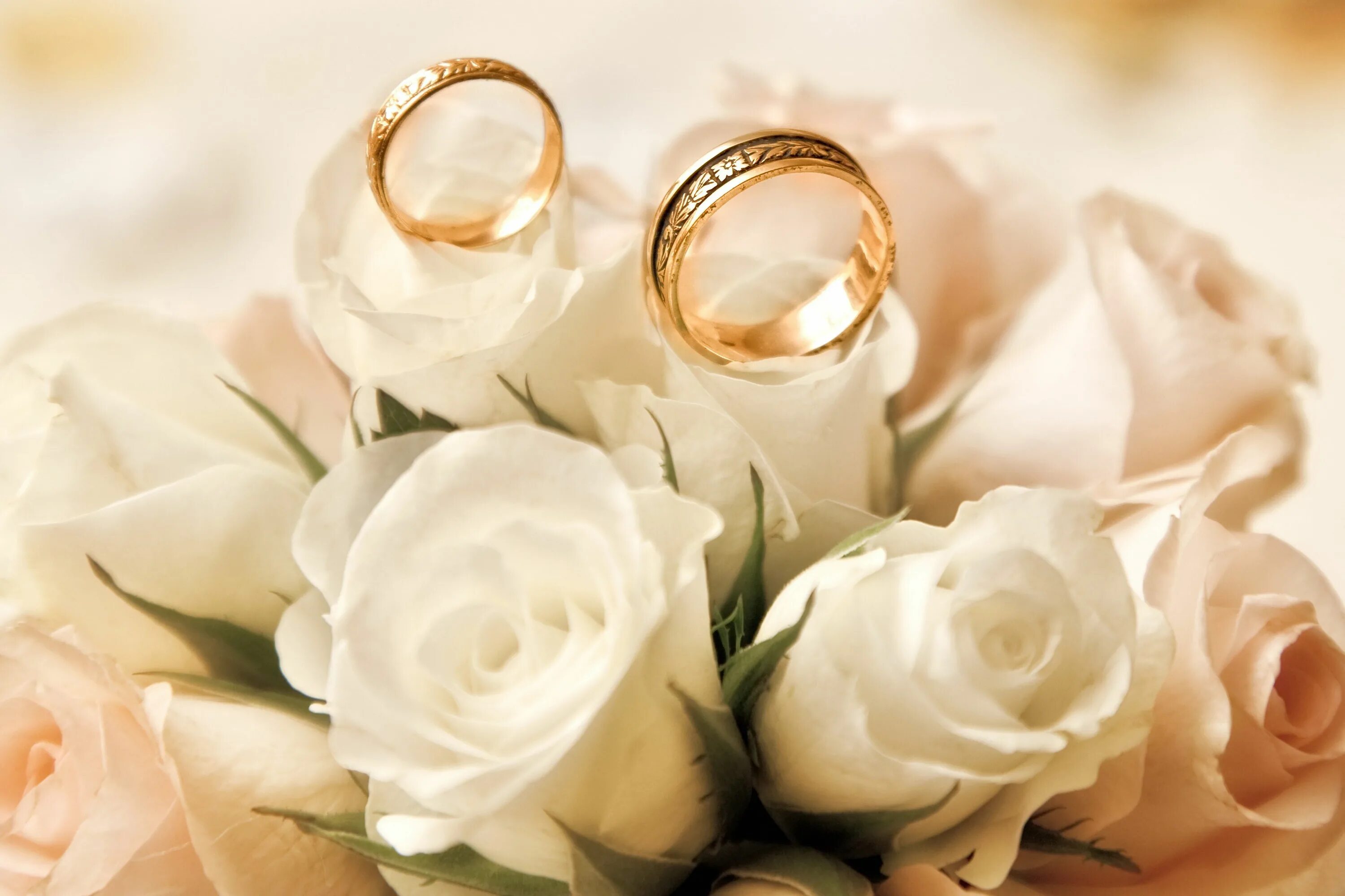 Поздравить с днем свадьбы картинки бесплатно Rosen Sträuße Weiß Ring Hochzeit Blumen Gold wedding, Wedding, Wedding flowers