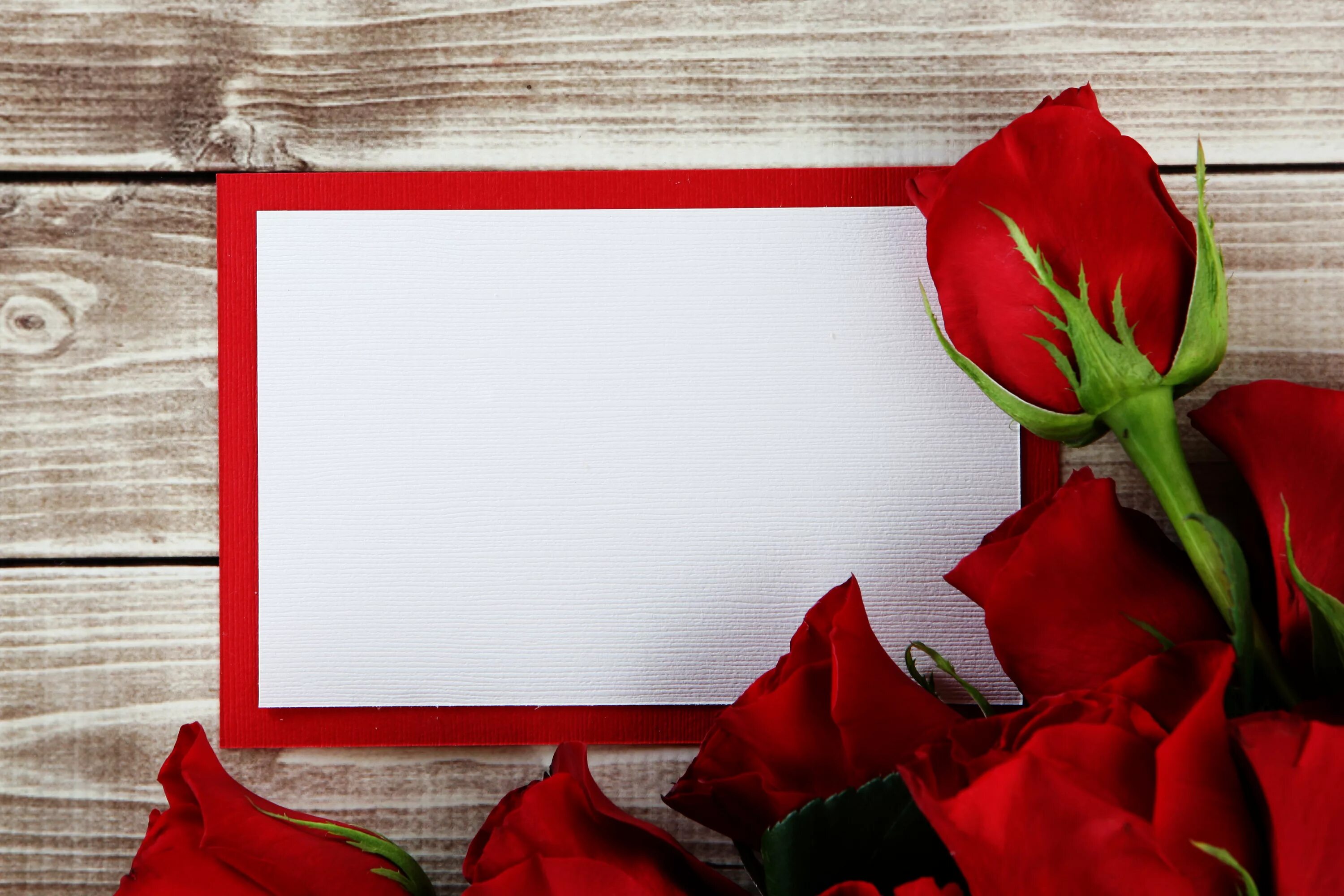 Поздравительные открытки с фото онлайн бесплатно Bouquet of roses with a sheet of paper in the background frame for a greeting ca