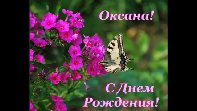 Поздравление оксане фото С днем рождения Оксана!Алло алло, прекрасная Оксана - смотреть видео онлайн от "