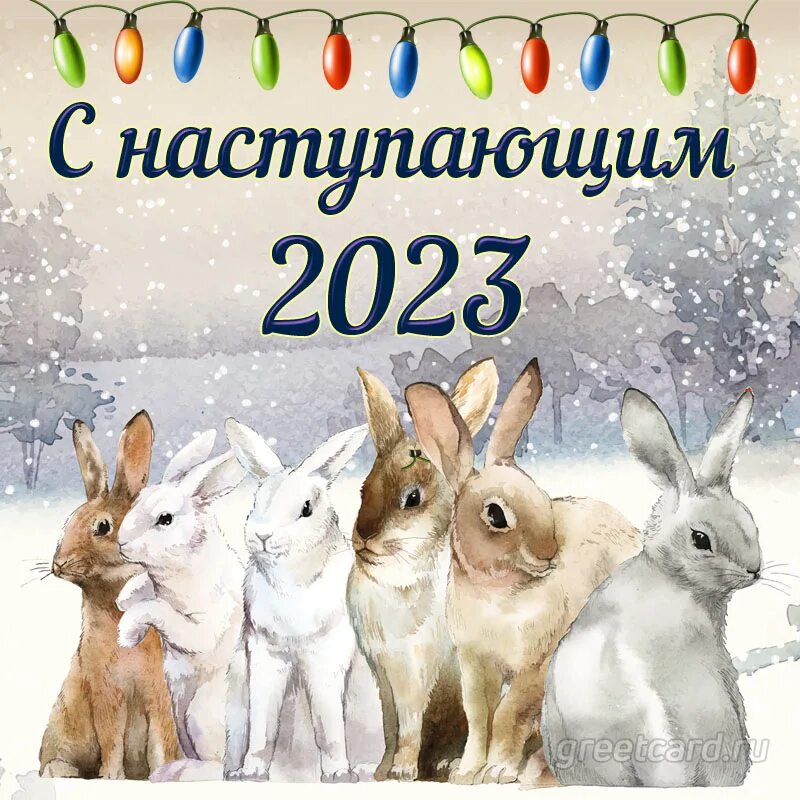 Поздравление с новым годом 2023 картинки С наступающим 2023 годом Кролика! - DRIVE2