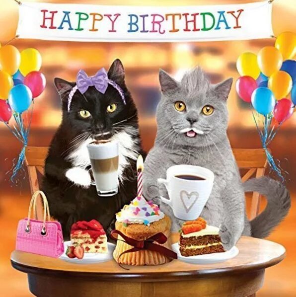 Поздравления с днем рождения веселые прикольные картинки Pin on Cards.Screenshots Happy birthday cat, Happy birthday animals, Happy birth