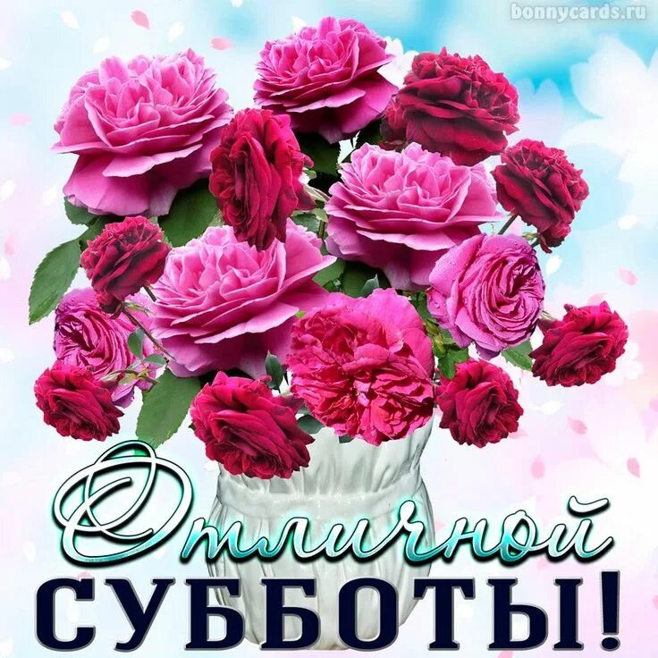 Поздравления с субботой фото Открытка с красивым букетом для отличной субботы Flowers, Rose, Postcard