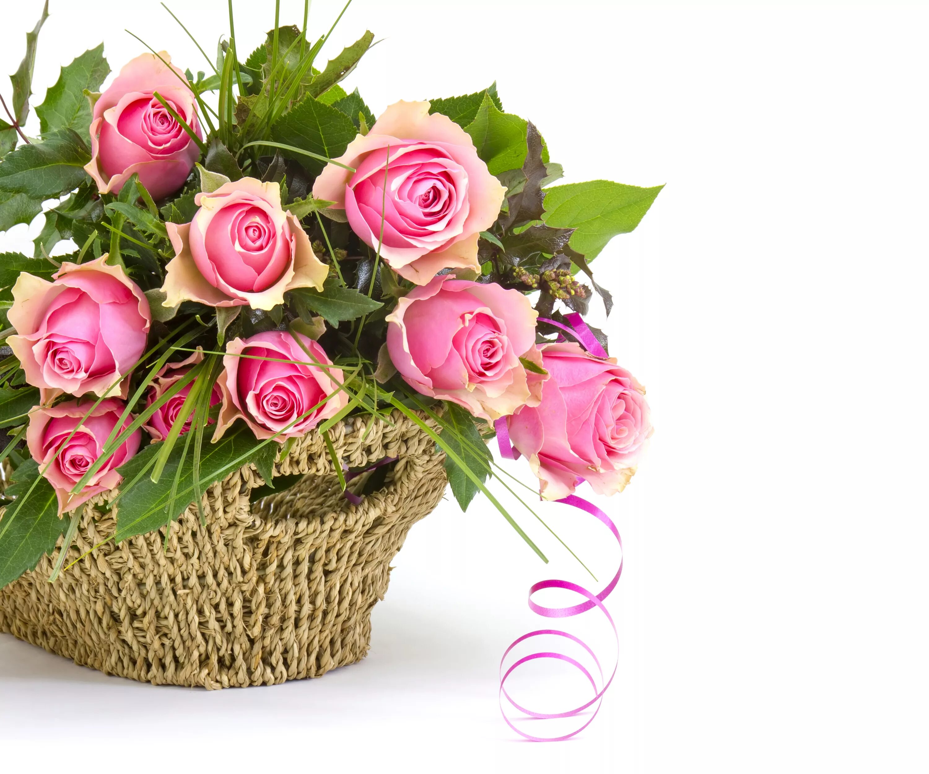 Поздравления женщине цветы фото Bouquet of pink roses basket with ribbon on white background Desktop wallpapers 