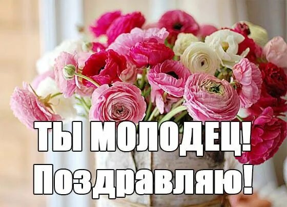 Поздравляю с работой фото Pin by OLGA on Поздравления Flowers, Rose, Plants