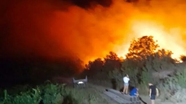 Пожар в крыму фото Пожар возле горного заповедника в Крыму тушили больше суток