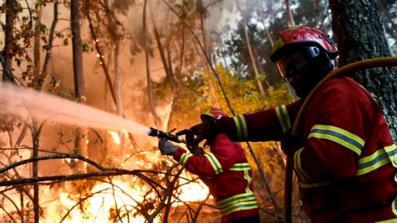 Пожарные леса фото wildfires in Corsica and Riviera, extreme forest fires in Southern France - YouT