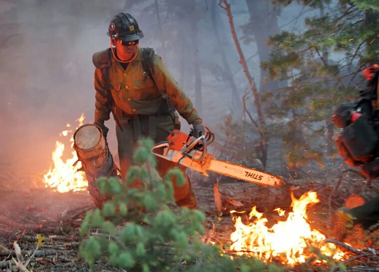 Пожарные леса фото Ariz. fire evacuees may get to go home