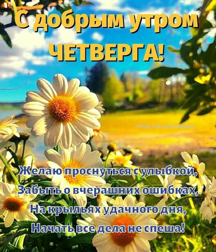 Пожелание доброго утра четверга в картинках бесплатно Пин от пользователя Татьяна Шорохова на доске Дни недели Доброе утро Доброе утро