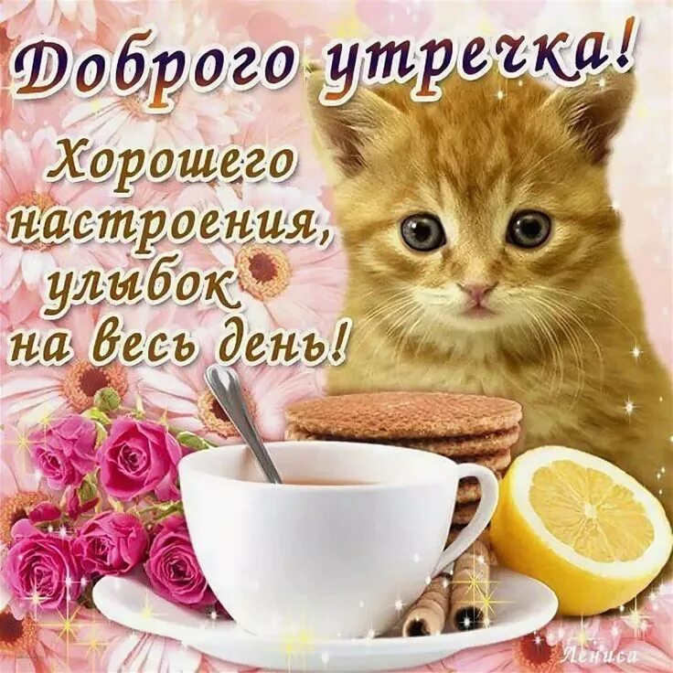 Пожелание доброго утра картинками кошее Pin on Доброе утро и день Cat quotes funny, Cat quotes, Good morning good night