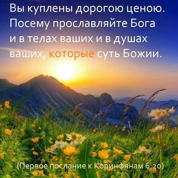 Пожелание доброго утра картинки природа горы Pin by Наталья on Христианские Bible, Life, Quotes