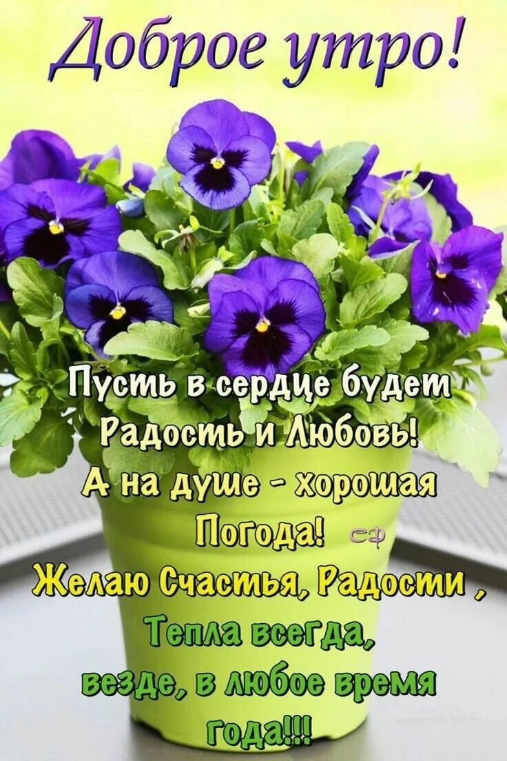 Пожелание здоровья картинки христианское доброго утра Пин на доске Поздравления Доброе утро, Утренние цитаты, Фотография цитаты