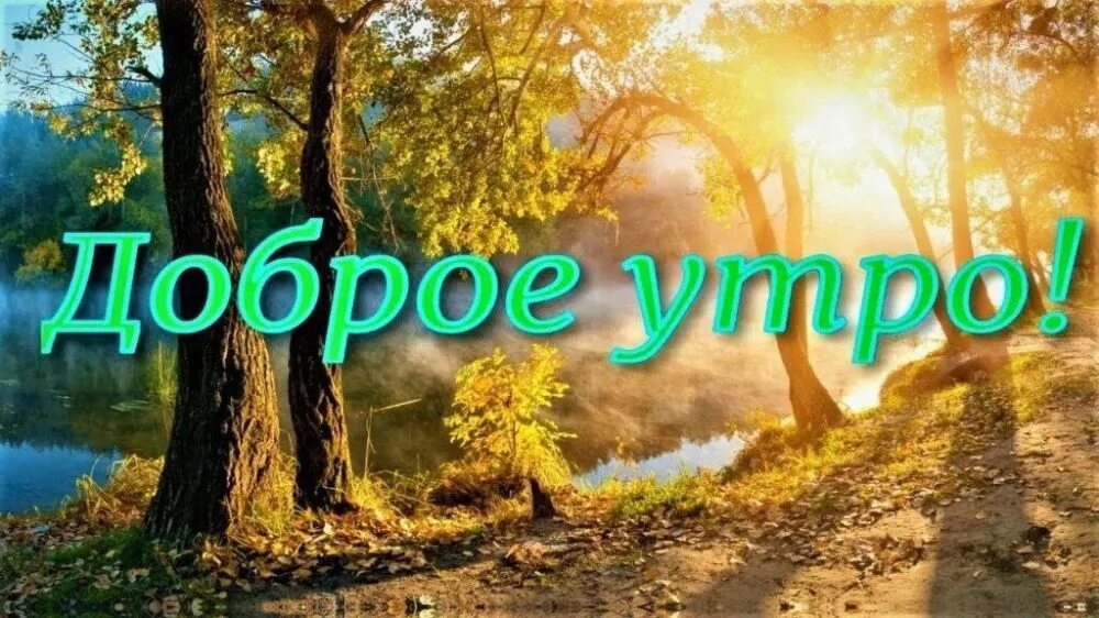 Пожелания доброе утро природа фото ДОБРОЕ ОСЕННЕЕ УТРО! ПЯТНИЦА НАСТАЛА, ЗАВТРА ВЫХОДНОЙ ! ЖЕЛАЮ, ЧТОБЫ ДЕНЬ БЫЛ ТЁ