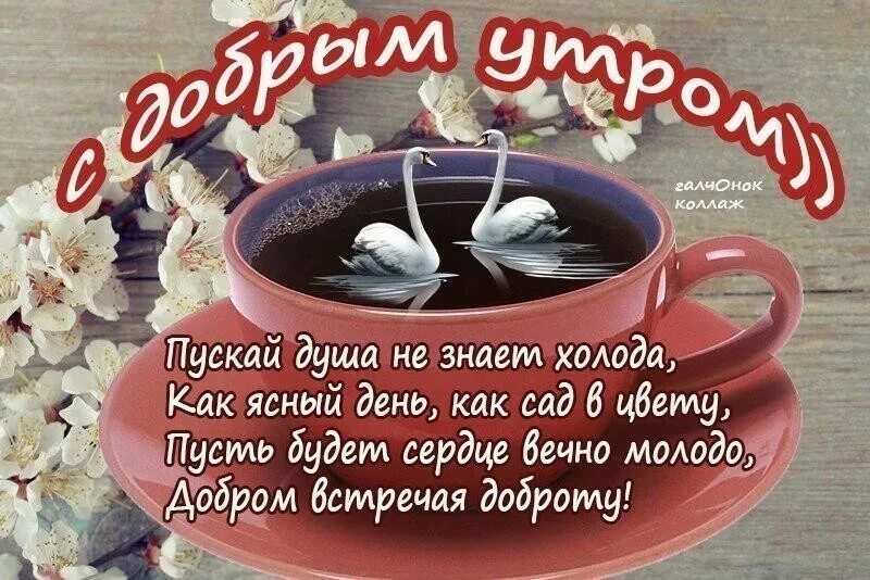 Пожелания доброго утра картинки со словами Доброе апрельское утро, дорогие поэты, писатели и читатели! 2024 АРТ - Ассоциаци