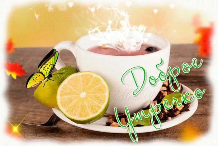 Пожелания доброго утра в летних картинках мужчине Sweet Morning Wishes