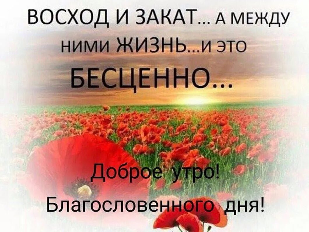 Пожелания хорошего благословенного дня красивые картинки Sign in Good morning, Feelings, Aha