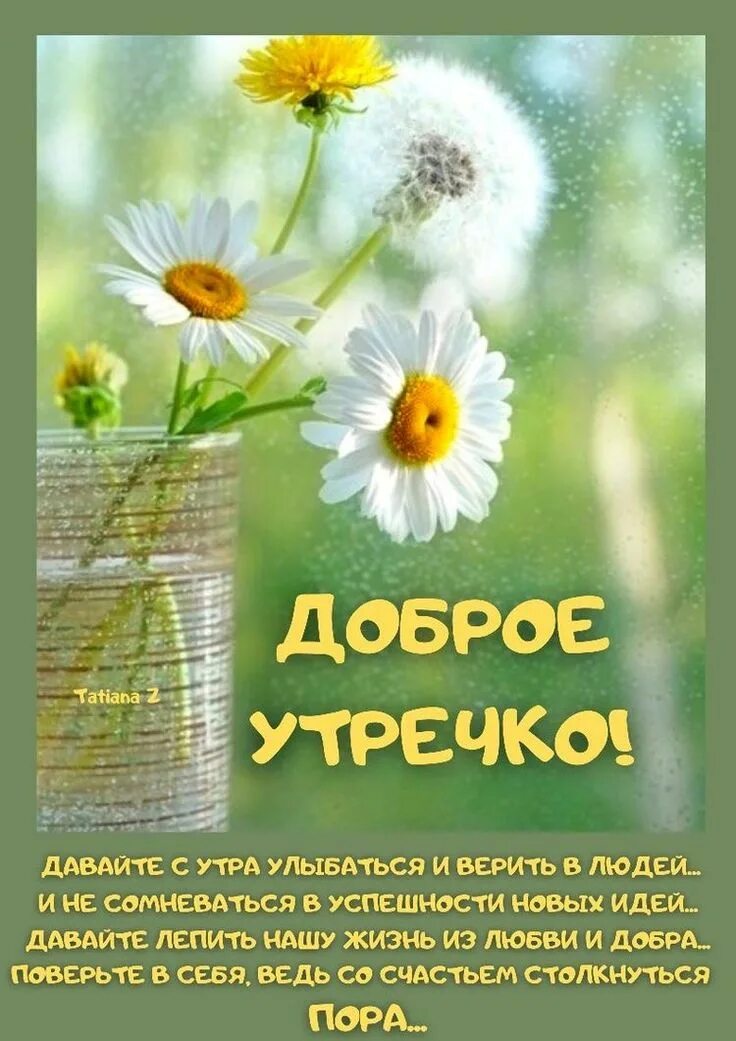 Пожелания хорошего дня фото природы Pin auf Доброе утро, хорошего дня! Guten morgen, Pusteblume