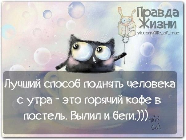 Пожелания мудрые с утра прикольные картинки правда жизни: 20 тыс изображений найдено в Яндекс.Картинках Картинки, Открытки, 