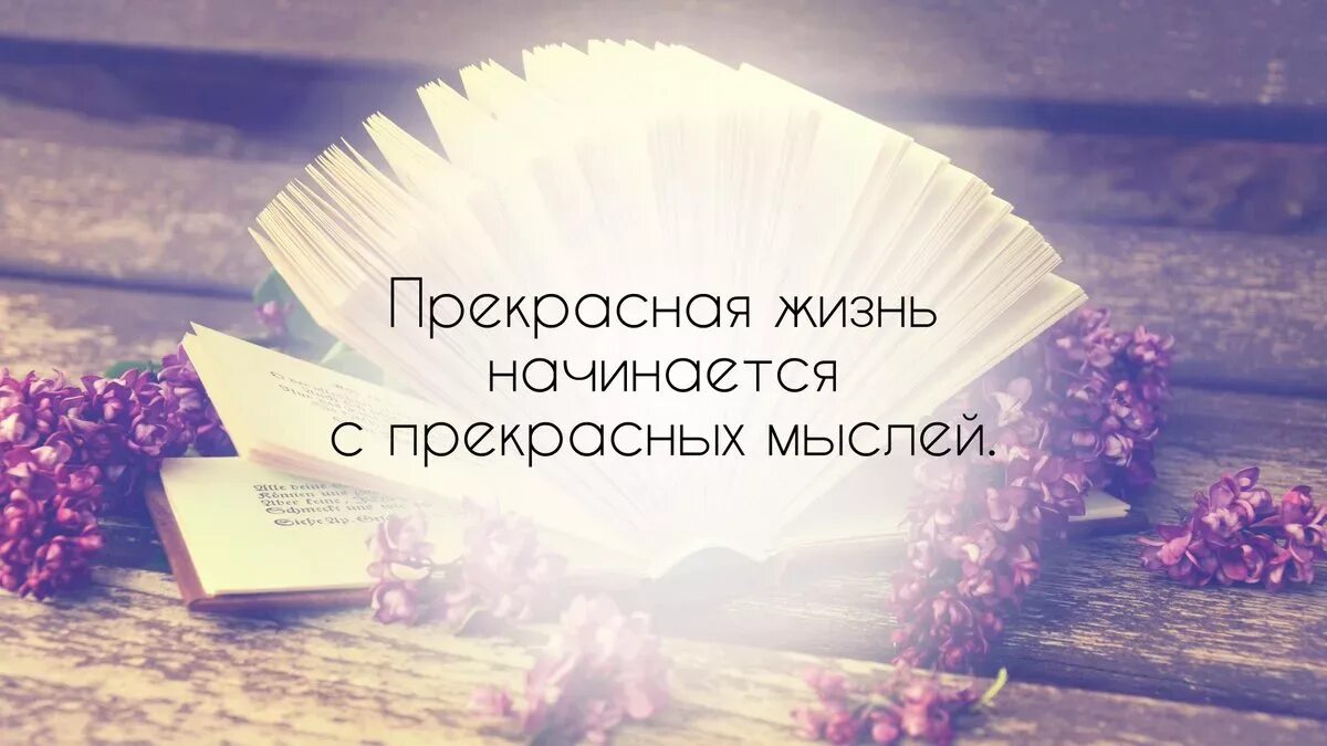 Пожелания с красивым смыслом картинки Пока не успели состариться, нужно усвоить одну мудрость: Цитата Януша Вишневског