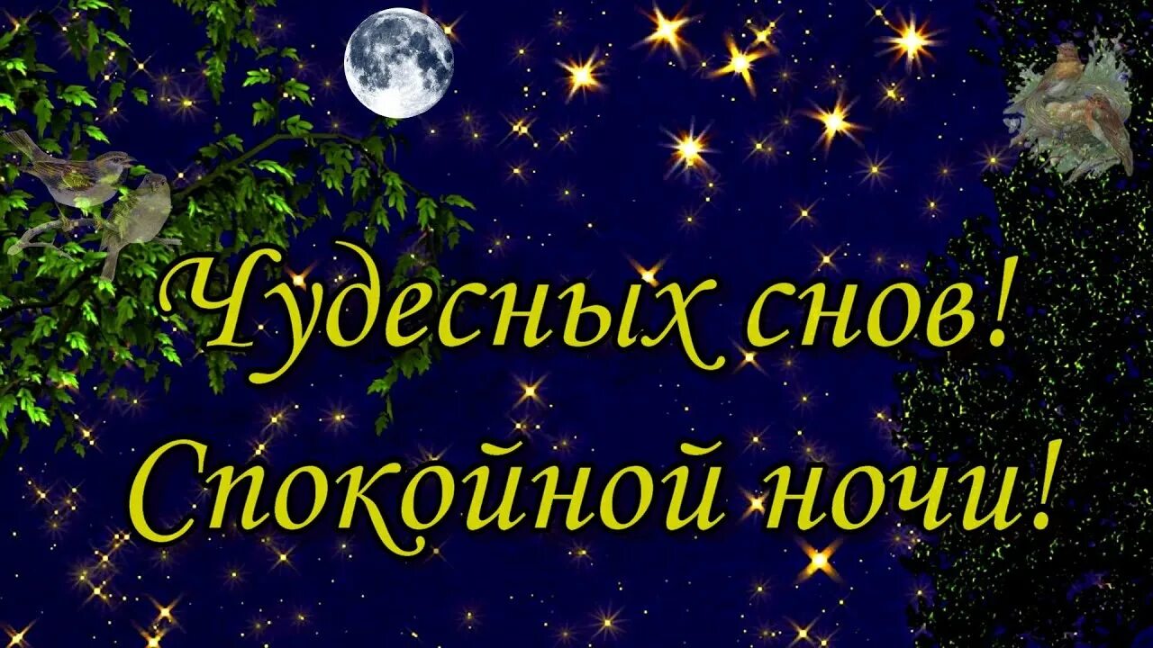 Пожелания спокойной ночи фото и картинки Онлайн-сканворд № 4037: "Во льдах"