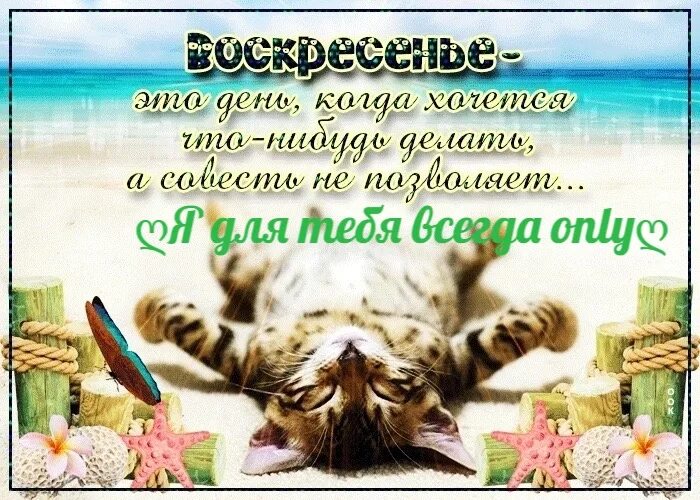 Пожелания воскресного утра картинки прикольные Выходные наступают - Поздравляем от души! С удовольствием желаем Их приятно пров