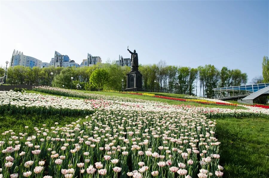 Позитив фото белгород Гарантийный фонд содействия кредитованию активно оказывает поддержку бизнесу - и