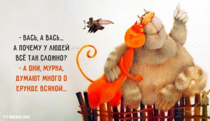 Позитив с утра картинки прикольные с афоризмом Весёлые картинки Funny quotes, Funny, Animals