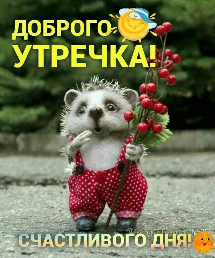 Позитивная картинка для поднятия настроения утром Pin auf доброе утро)) Guten morgen gruss, Guten morgen bilder, Guten morgen