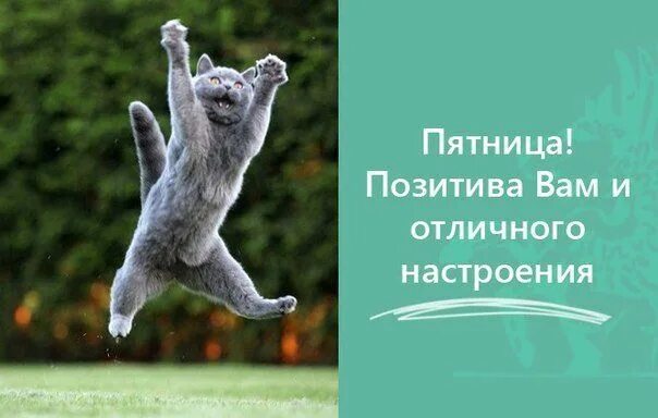 Позитивная пятничная картинка С добрым утром! Все ждали пятницу, вот она и пришла. Ураааа! Завтра выходные, по